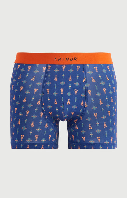 Boxer Arthur coton confortable | Les dessous de max